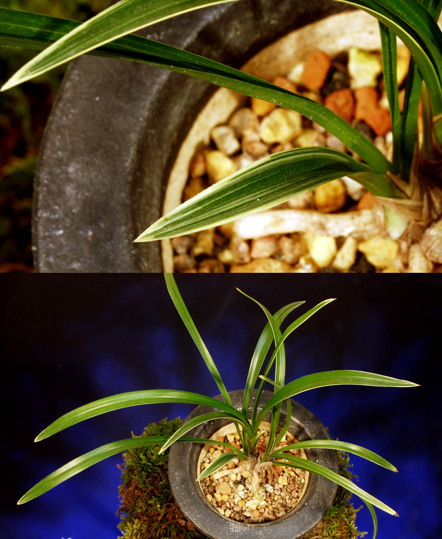 ������ ū������ �� �� �ֽ��ϴ�.