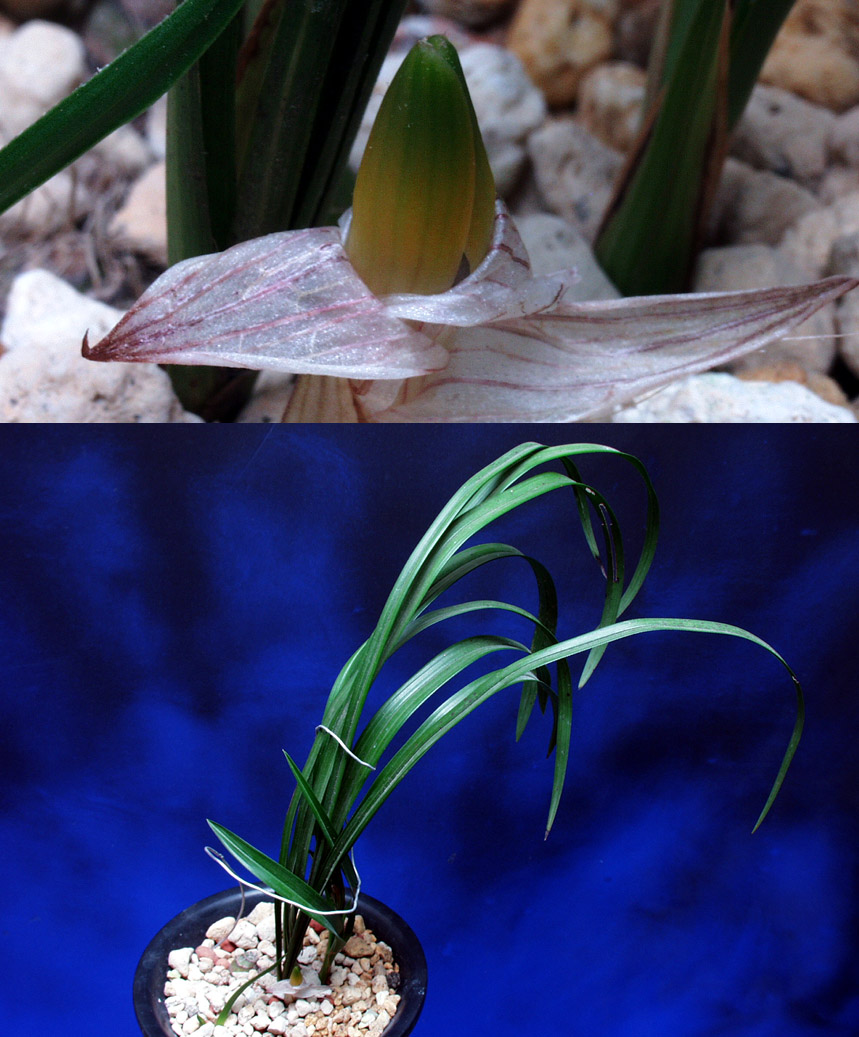 ������ ū������ �� �� �ֽ��ϴ�.