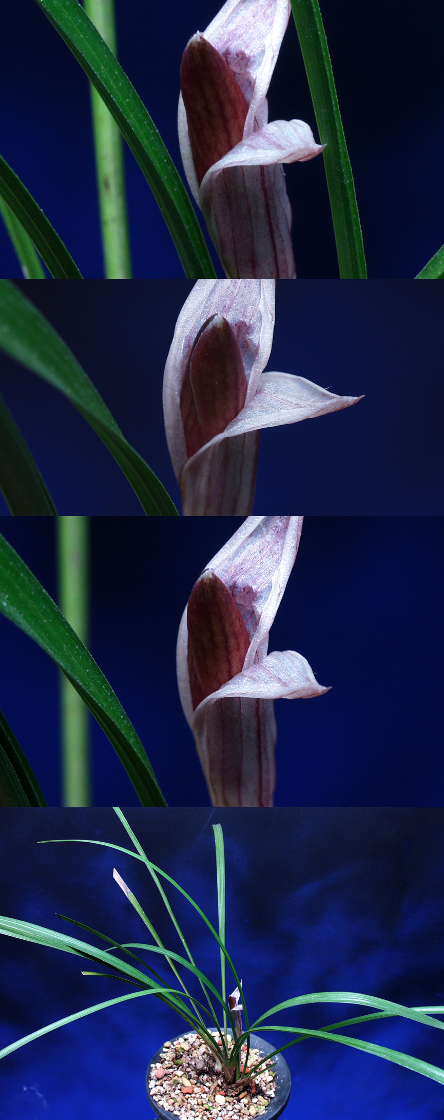 ������ ū������ �� �� �ֽ��ϴ�.