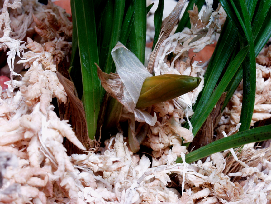 ������ ū������ �� �� �ֽ��ϴ�.