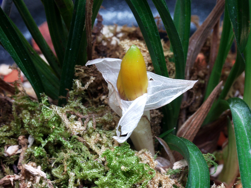 ������ ū������ �� �� �ֽ��ϴ�.