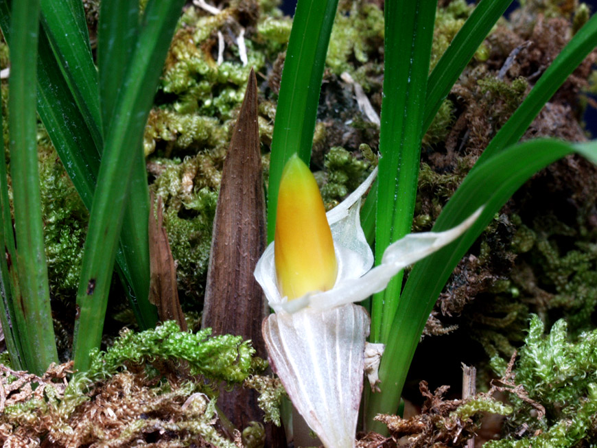 ������ ū������ �� �� �ֽ��ϴ�.