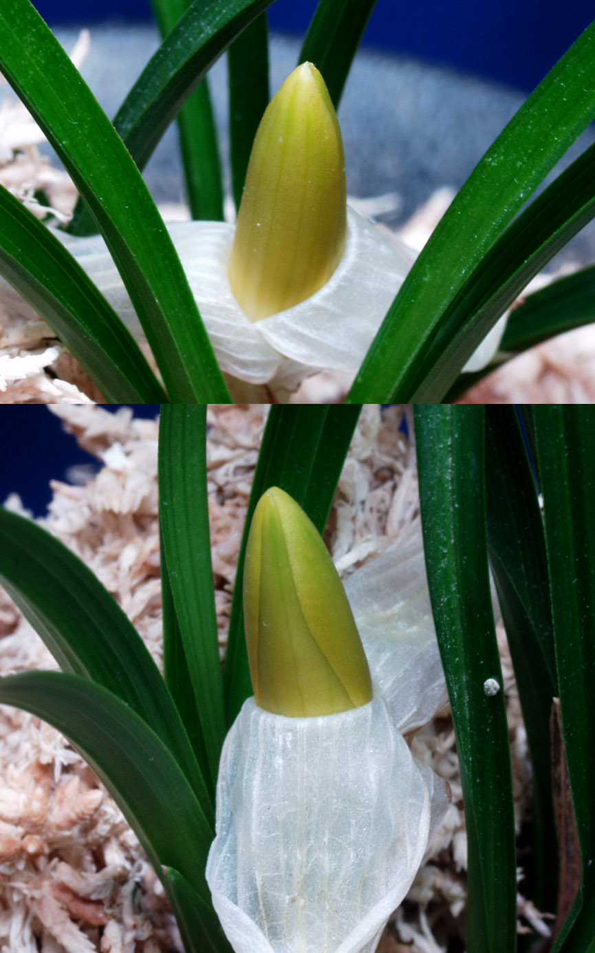 ������ ū������ �� �� �ֽ��ϴ�.