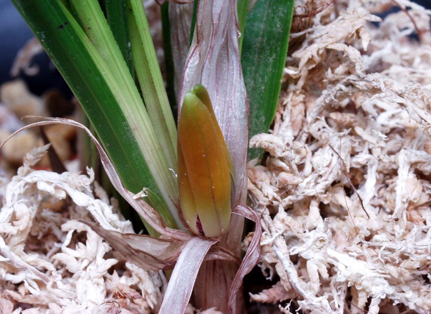 ������ ū������ �� �� �ֽ��ϴ�.