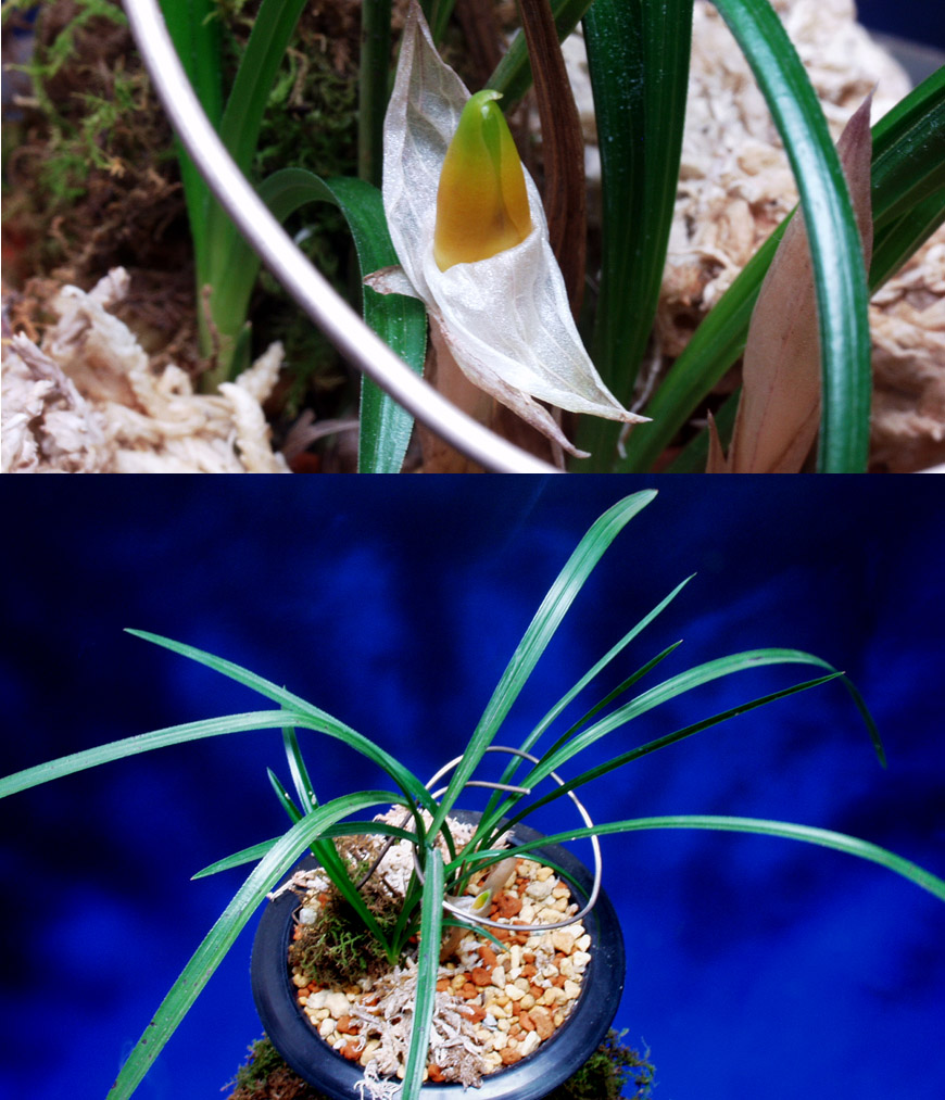 ������ ū������ �� �� �ֽ��ϴ�.