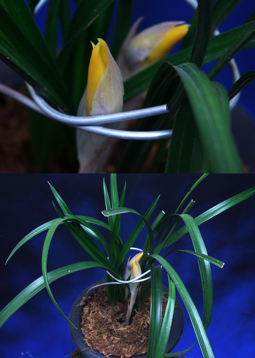 ������ ū������ �� �� �ֽ��ϴ�.