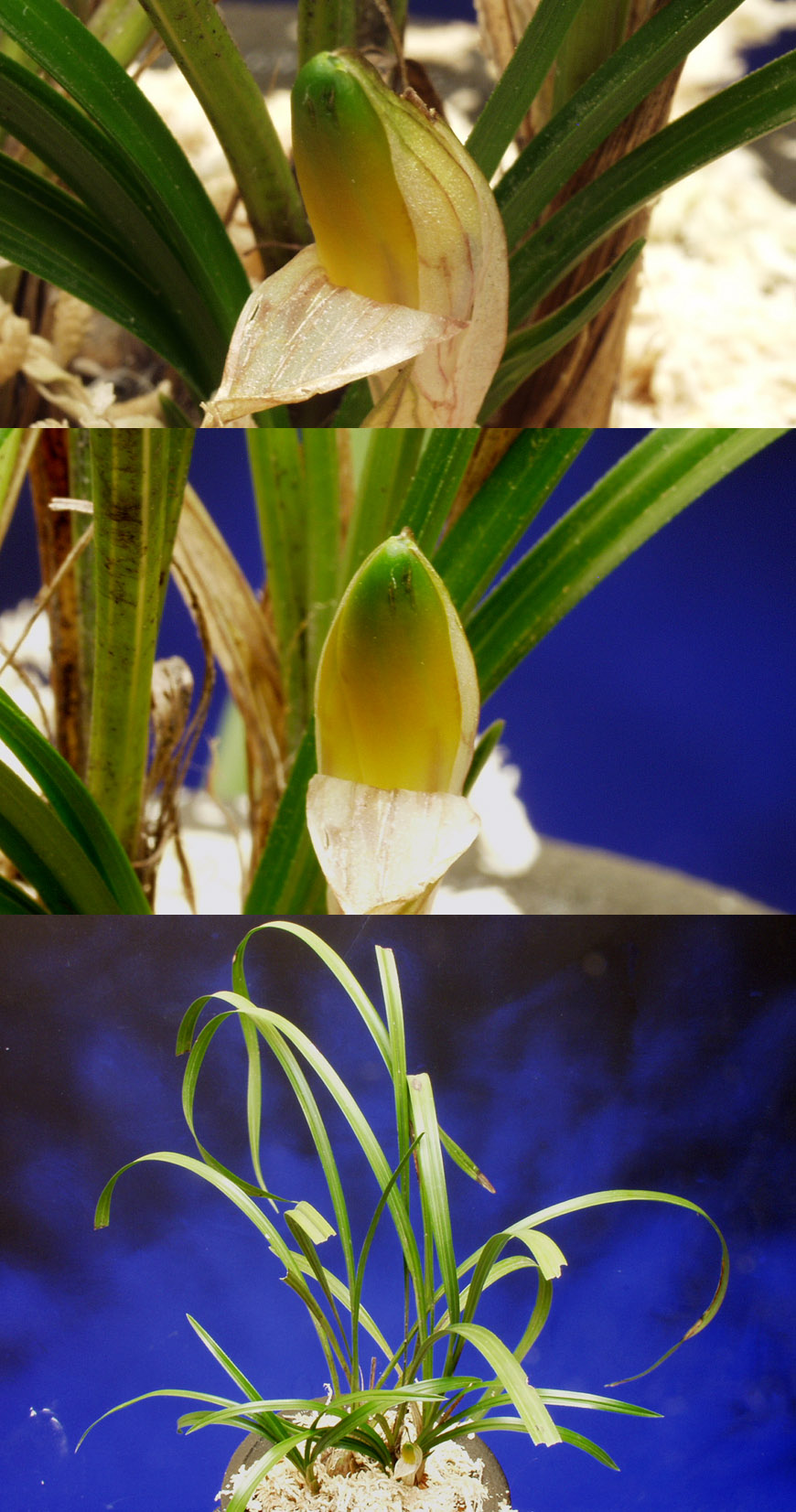 ������ ū������ �� �� �ֽ��ϴ�.