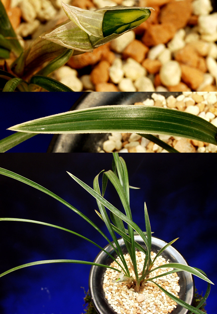 ������ ū������ �� �� �ֽ��ϴ�.