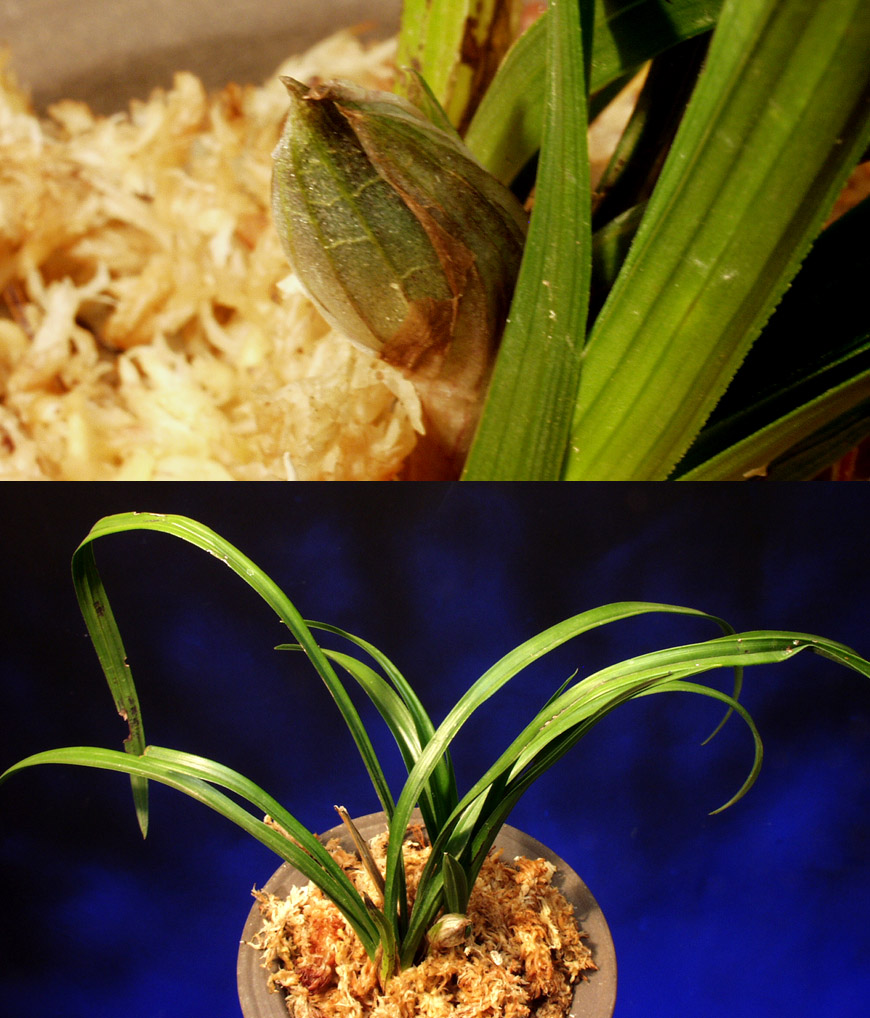 ������ ū������ �� �� �ֽ��ϴ�.