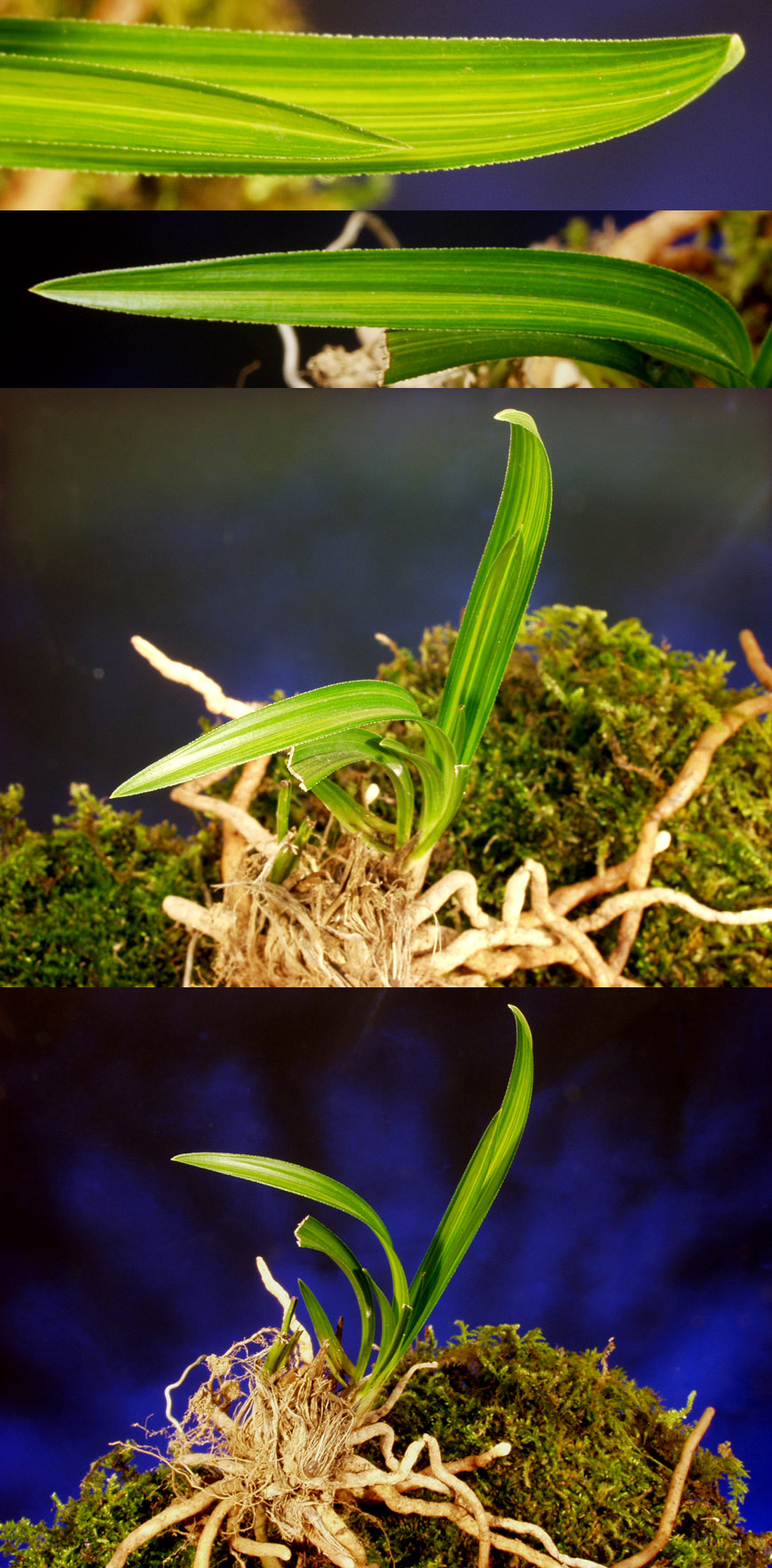 ������ ū������ �� �� �ֽ��ϴ�.