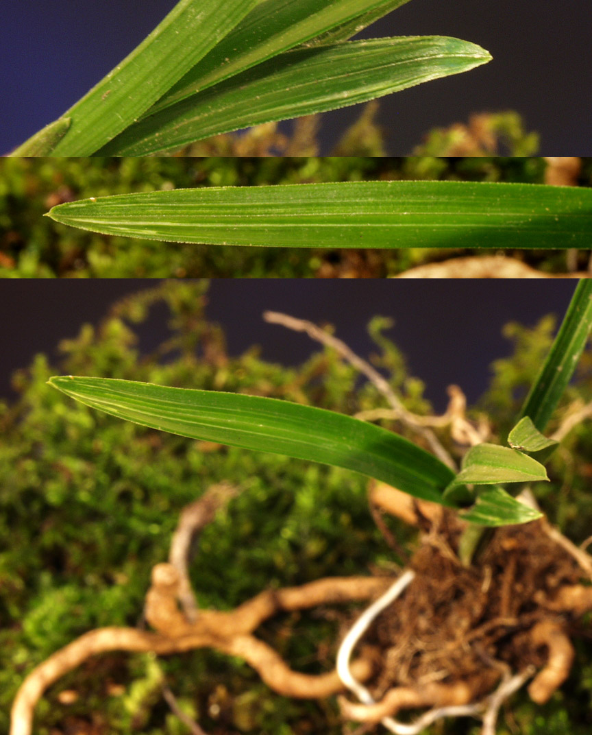 ������ ū������ �� �� �ֽ��ϴ�.