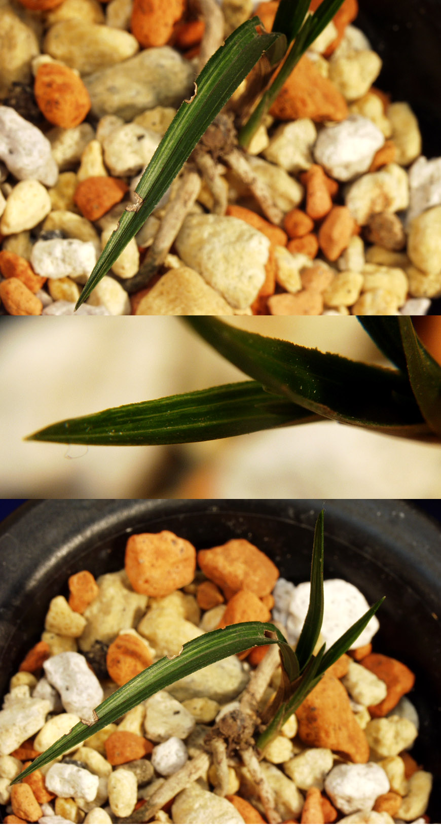 ������ ū������ �� �� �ֽ��ϴ�.