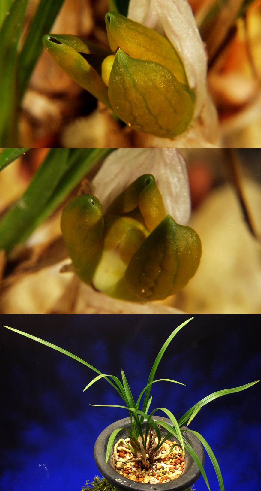 ������ ū������ �� �� �ֽ��ϴ�.