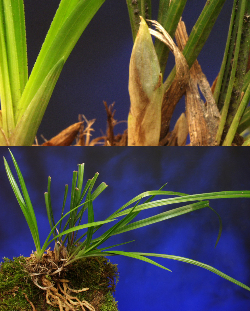 ������ ū������ �� �� �ֽ��ϴ�.