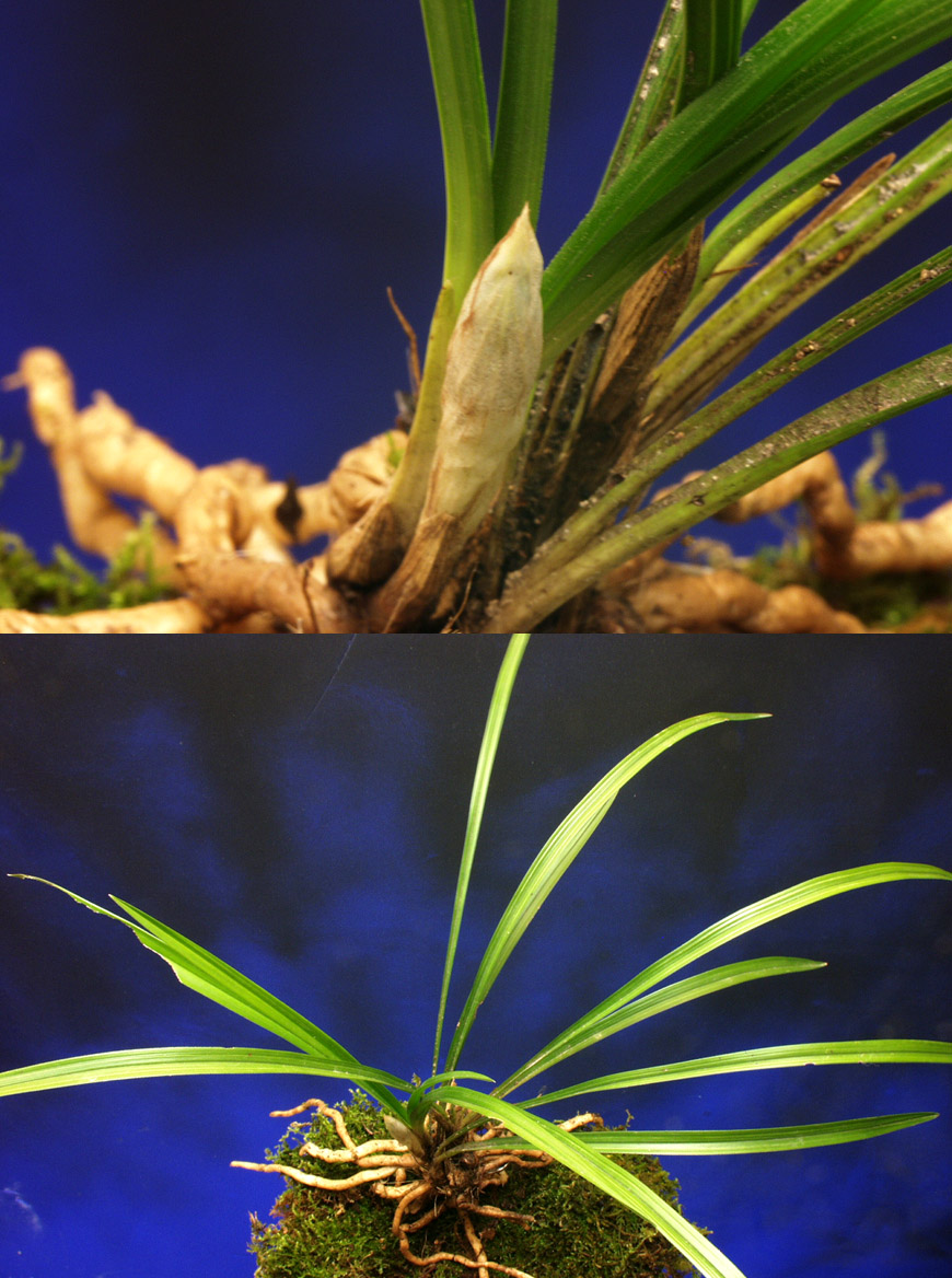 ������ ū������ �� �� �ֽ��ϴ�.