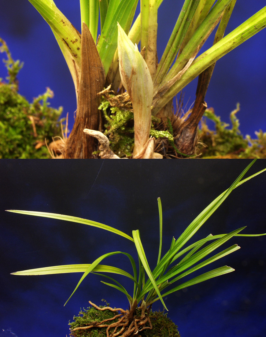 ������ ū������ �� �� �ֽ��ϴ�.