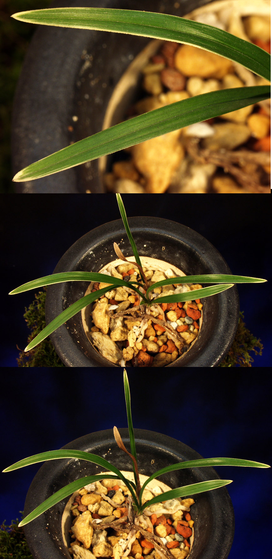 ������ ū������ �� �� �ֽ��ϴ�.