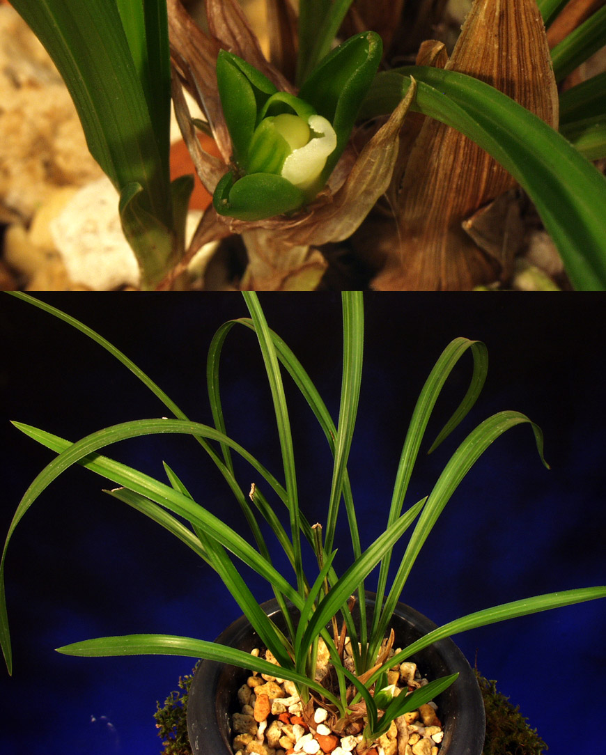 ������ ū������ �� �� �ֽ��ϴ�.