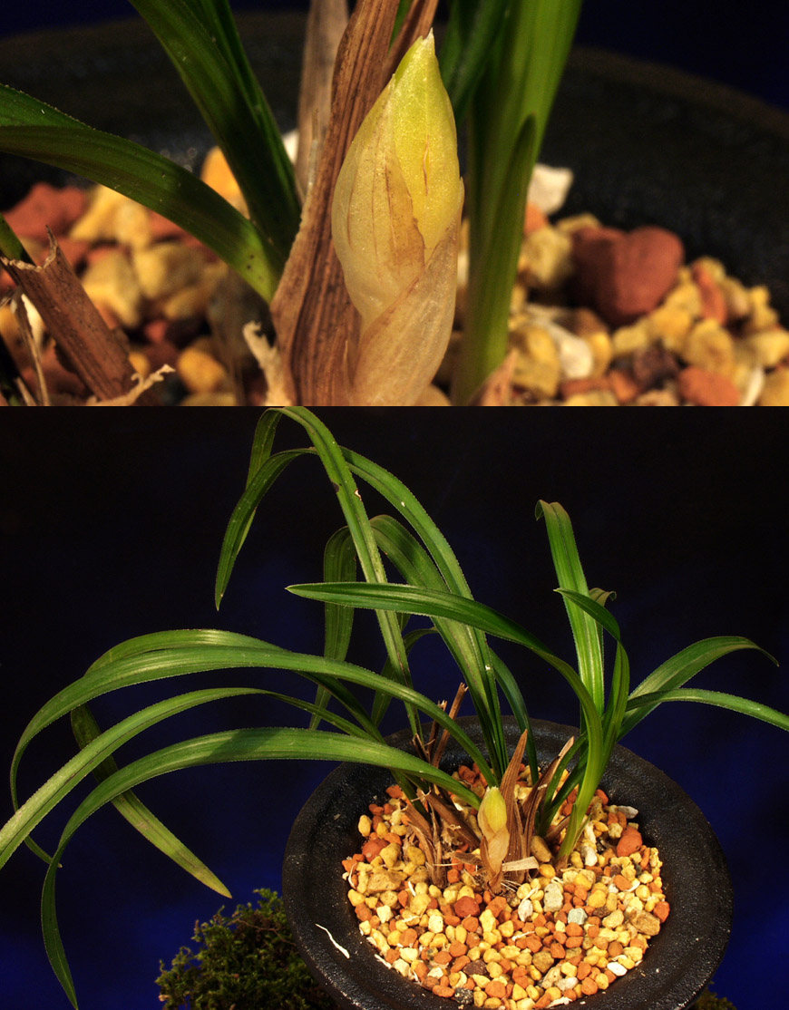 ������ ū������ �� �� �ֽ��ϴ�.