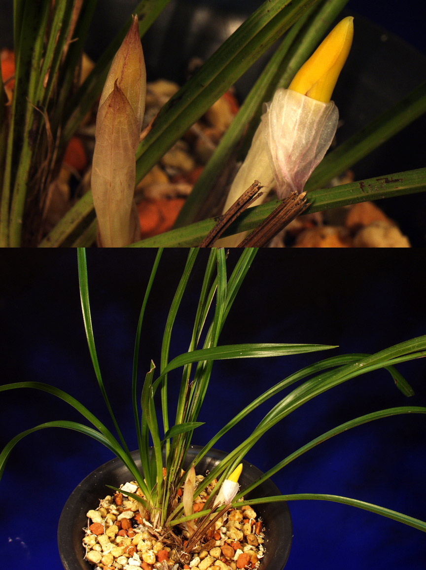 ������ ū������ �� �� �ֽ��ϴ�.