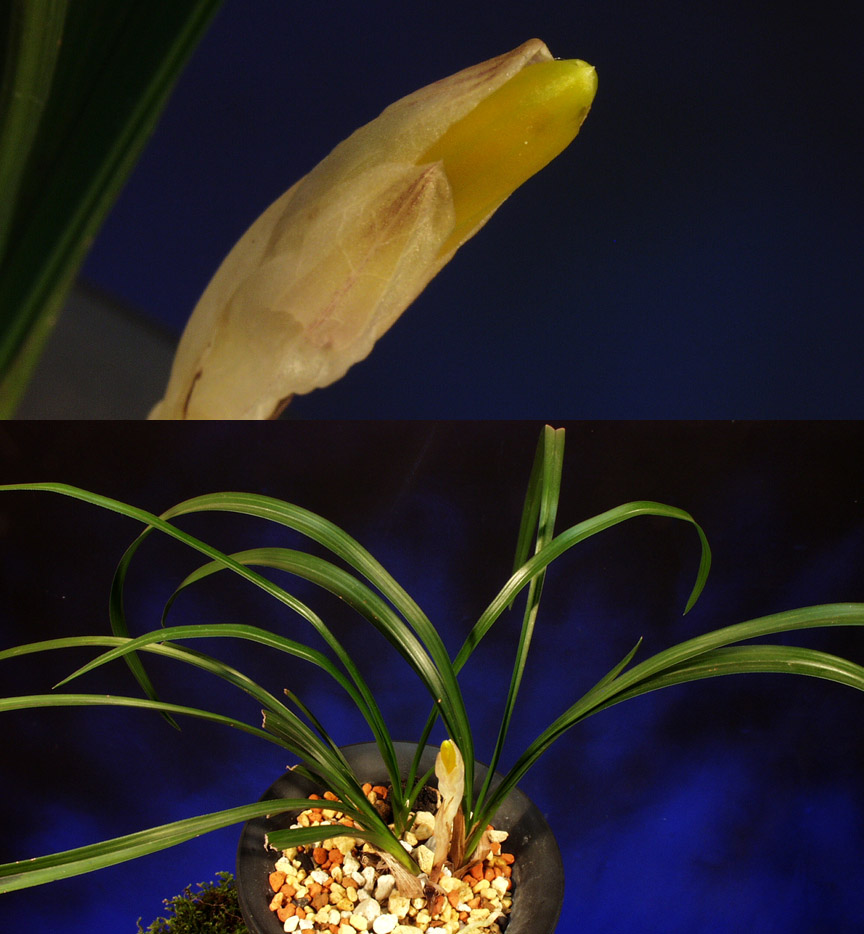 ������ ū������ �� �� �ֽ��ϴ�.