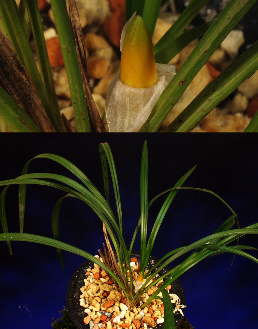 ������ ū������ �� �� �ֽ��ϴ�.