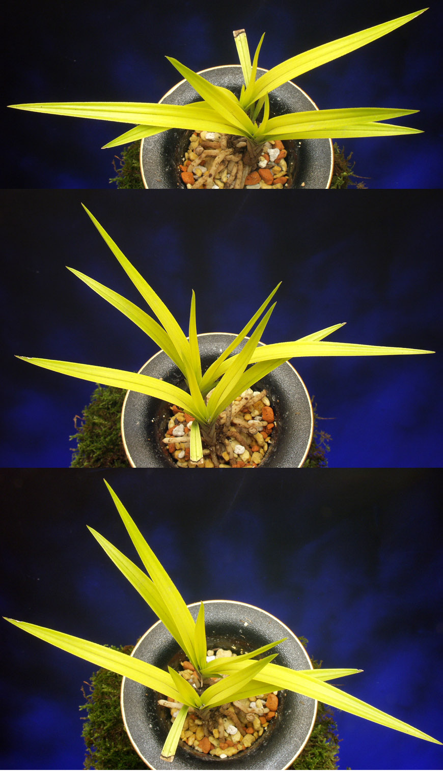 ������ ū������ �� �� �ֽ��ϴ�.