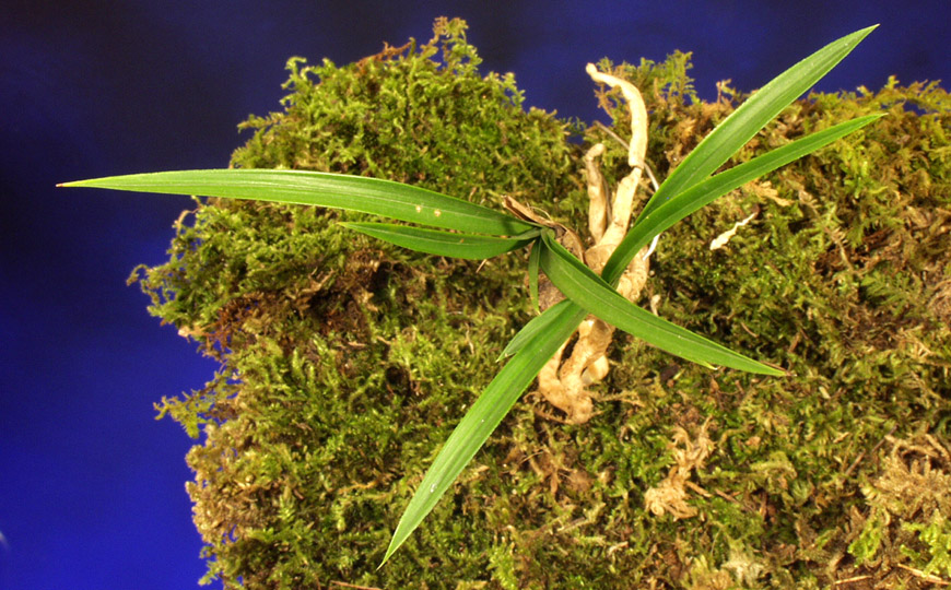 ������ ū������ �� �� �ֽ��ϴ�.