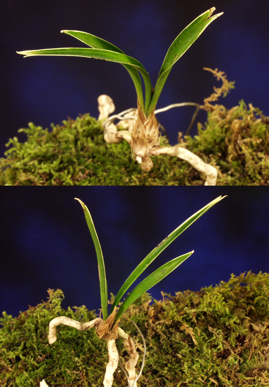 ������ ū������ �� �� �ֽ��ϴ�.