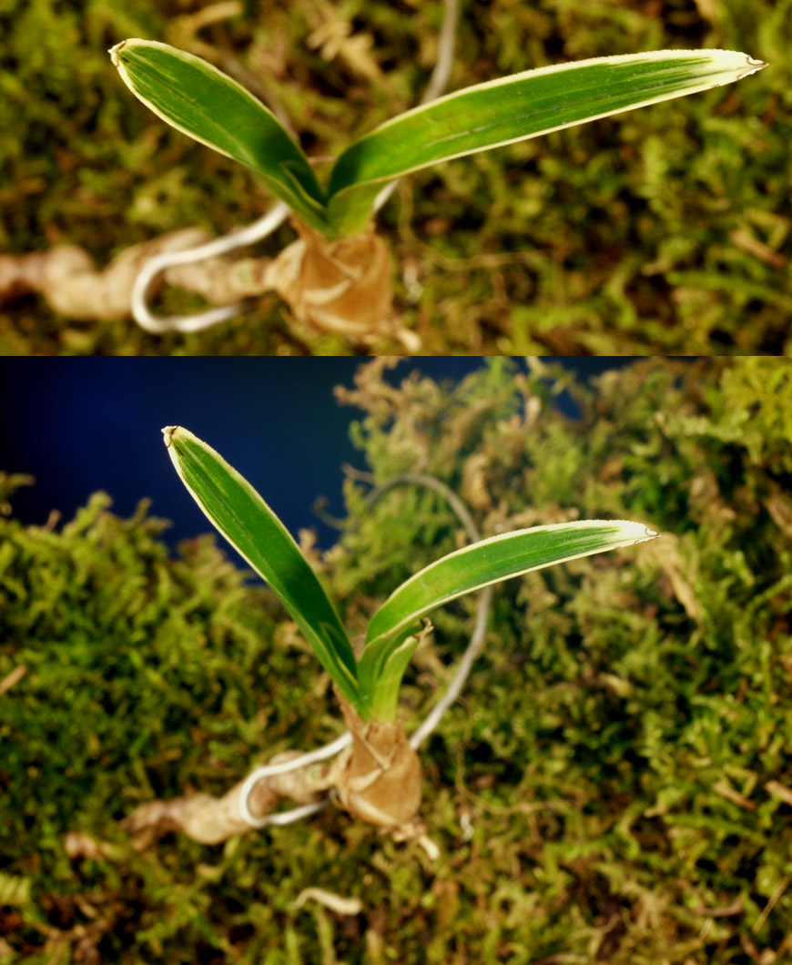 ������ ū������ �� �� �ֽ��ϴ�.