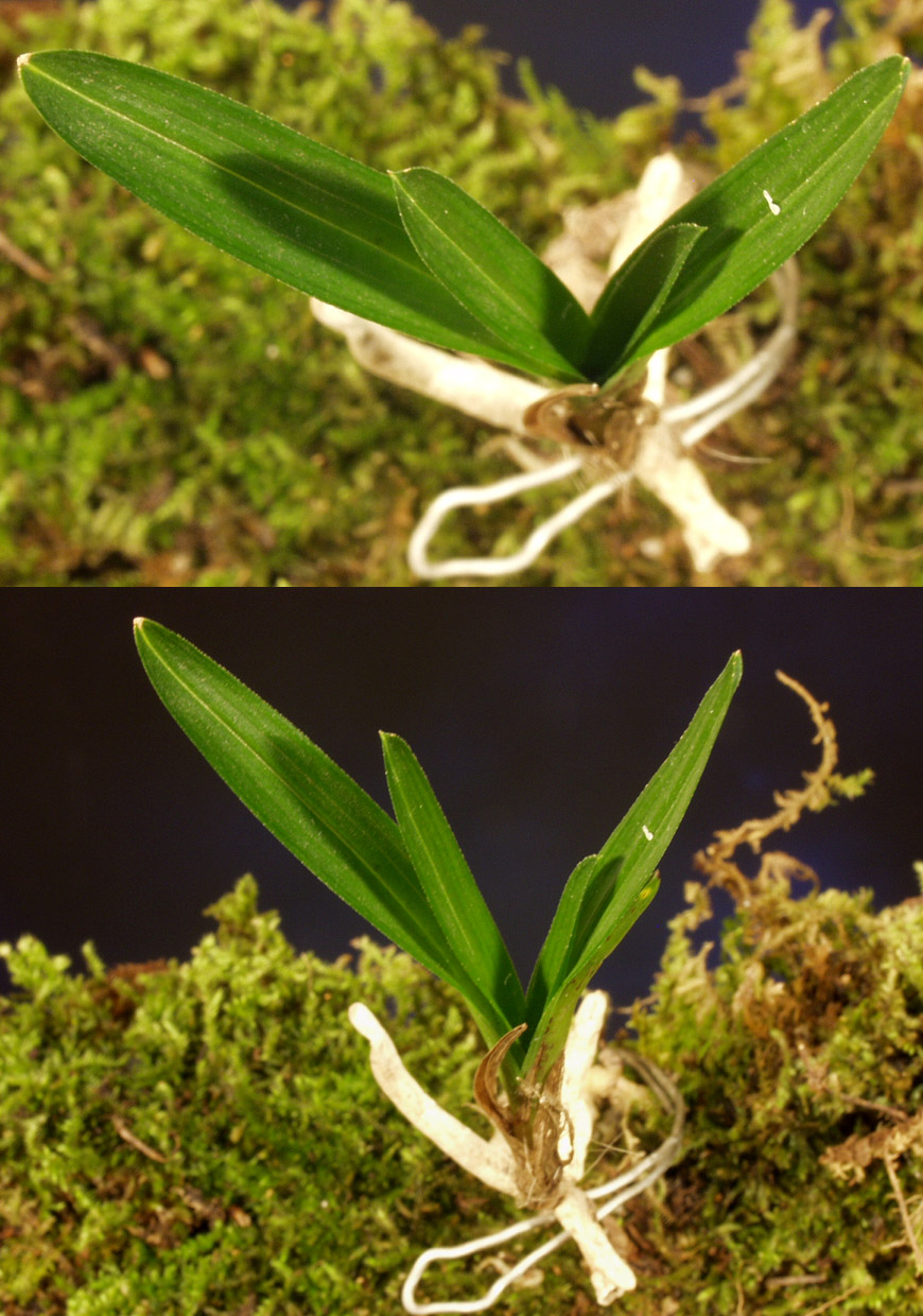 ������ ū������ �� �� �ֽ��ϴ�.