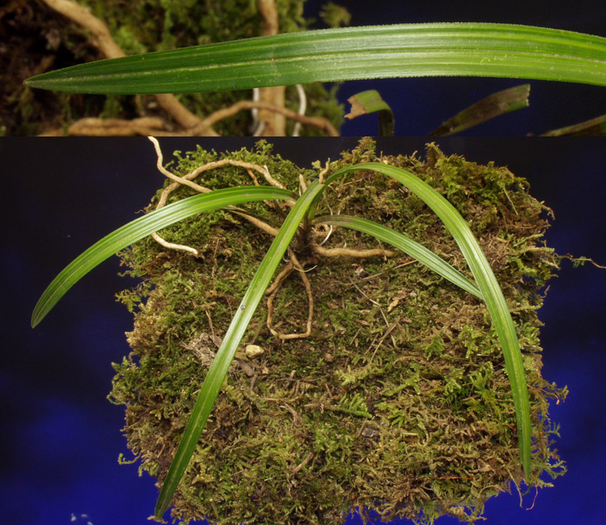 ������ ū������ �� �� �ֽ��ϴ�.