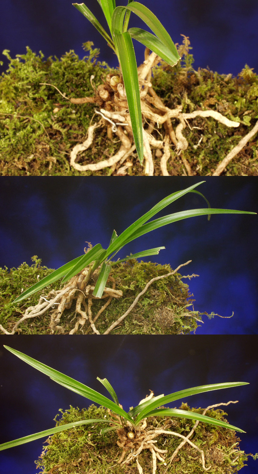 ������ ū������ �� �� �ֽ��ϴ�.