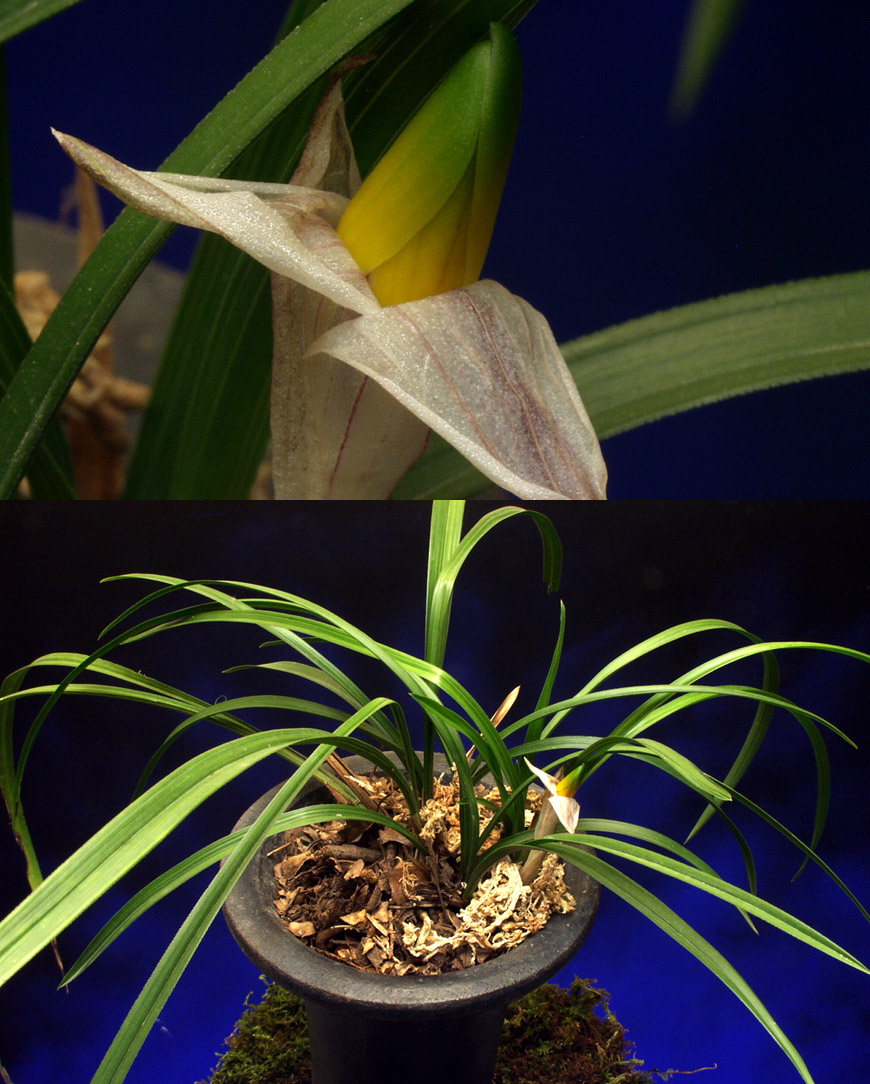 ������ ū������ �� �� �ֽ��ϴ�.