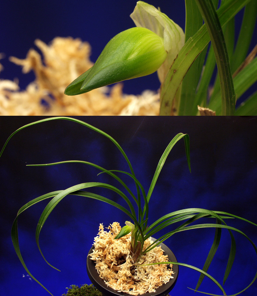 ������ ū������ �� �� �ֽ��ϴ�.