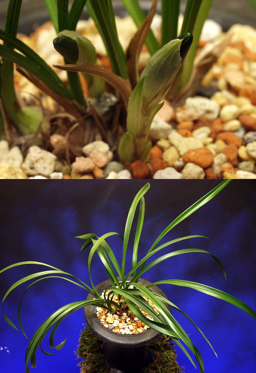 ������ ū������ �� �� �ֽ��ϴ�.