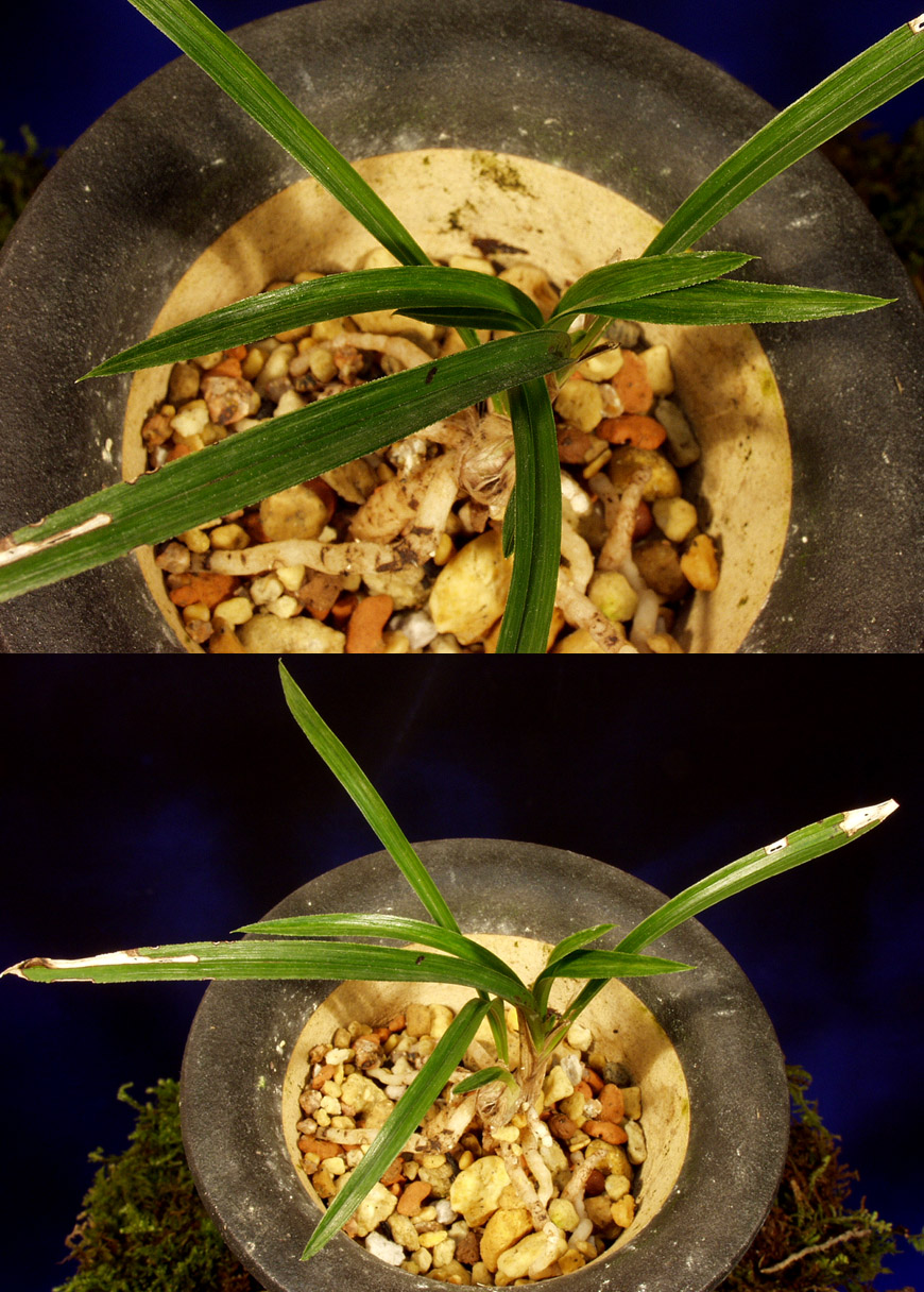 ������ ū������ �� �� �ֽ��ϴ�.