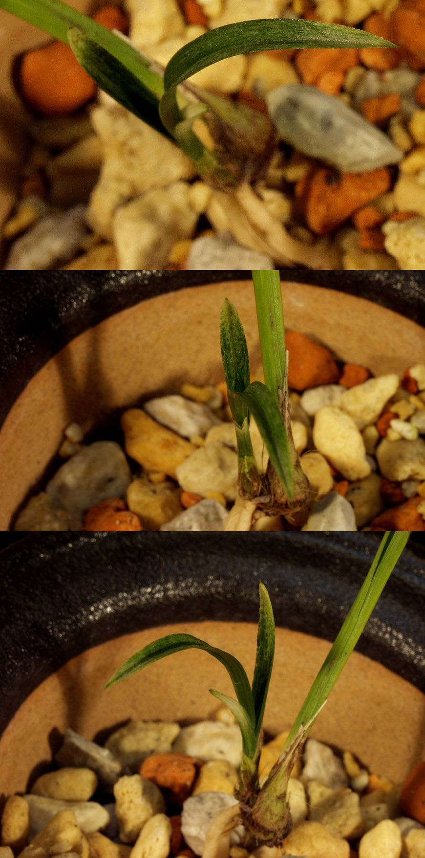 ������ ū������ �� �� �ֽ��ϴ�.