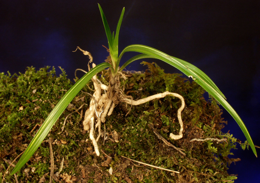 ������ ū������ �� �� �ֽ��ϴ�.