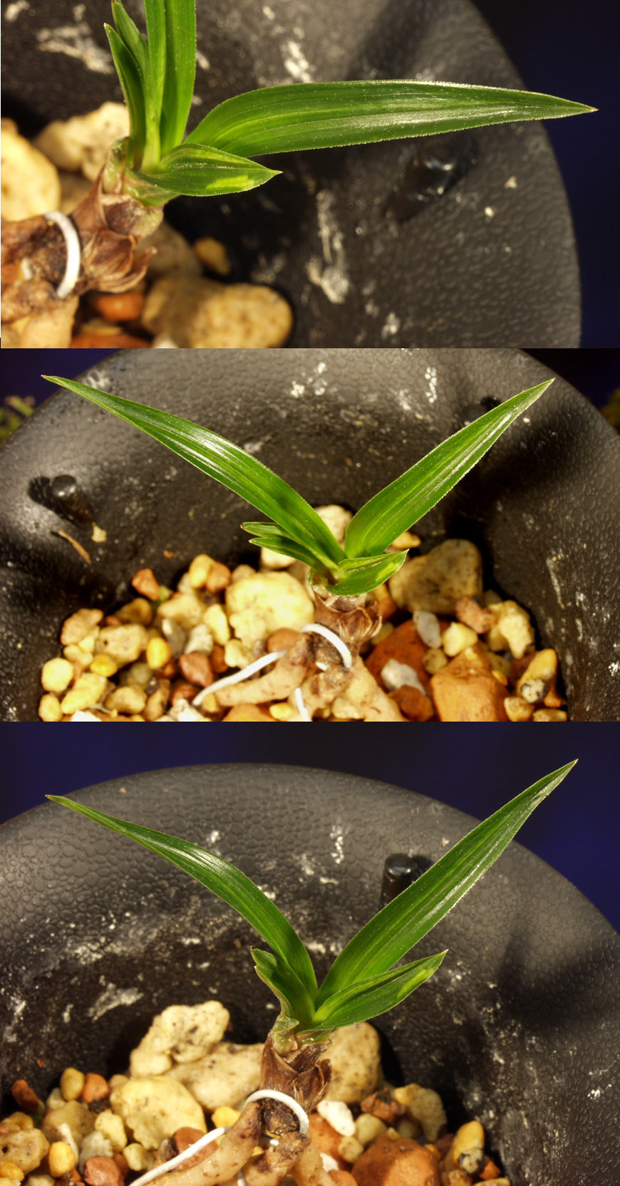 ������ ū������ �� �� �ֽ��ϴ�.