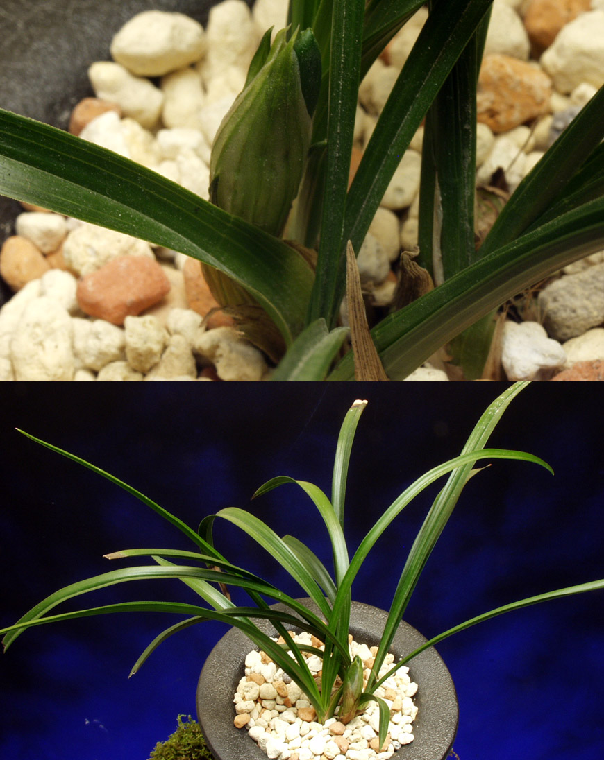 ������ ū������ �� �� �ֽ��ϴ�.