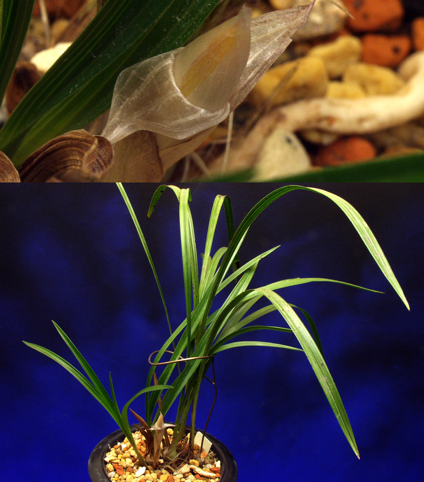 ������ ū������ �� �� �ֽ��ϴ�.