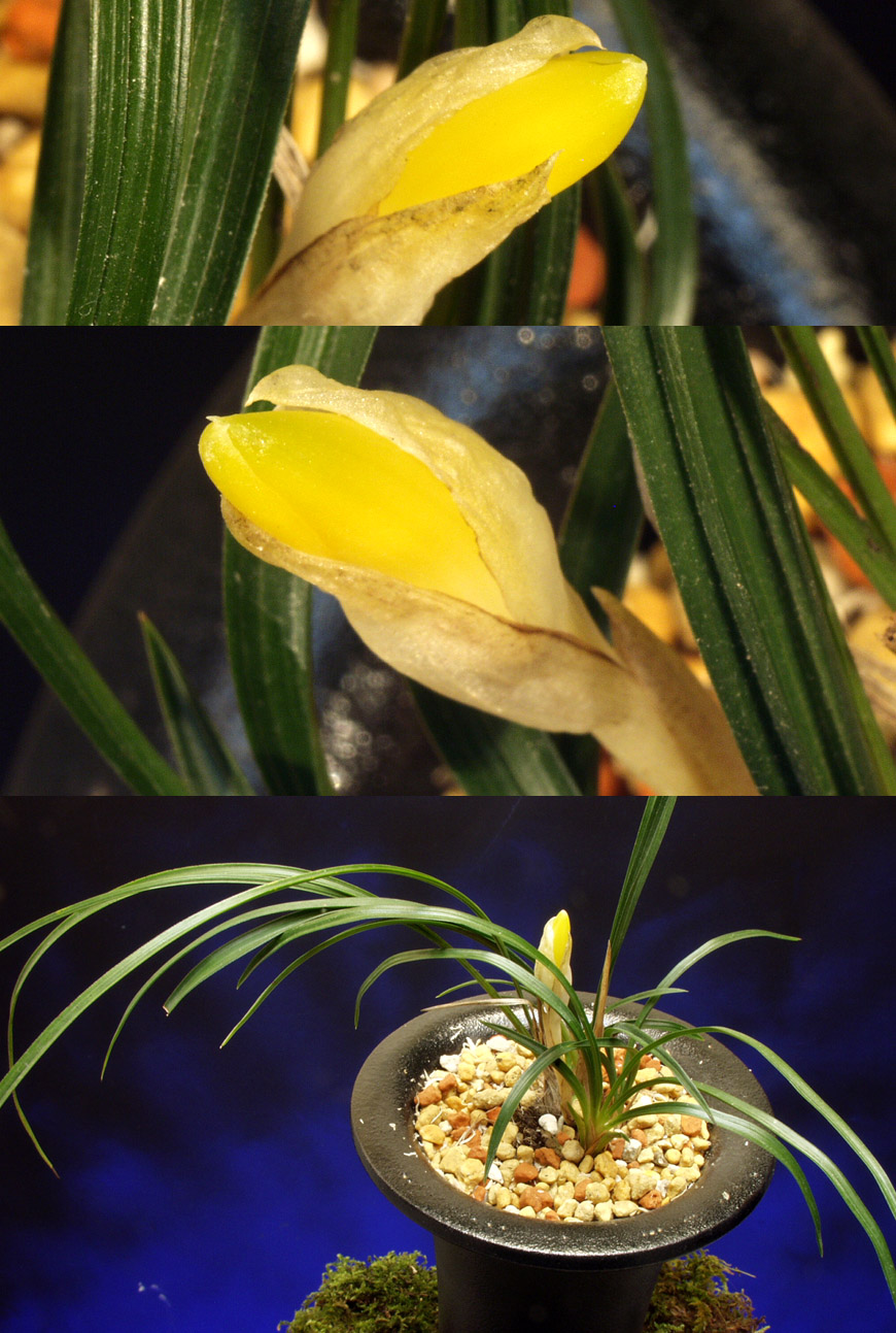 ������ ū������ �� �� �ֽ��ϴ�.