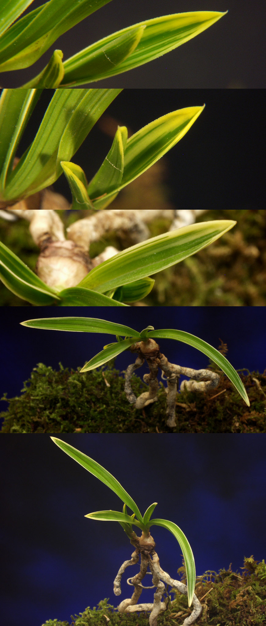 ������ ū������ �� �� �ֽ��ϴ�.