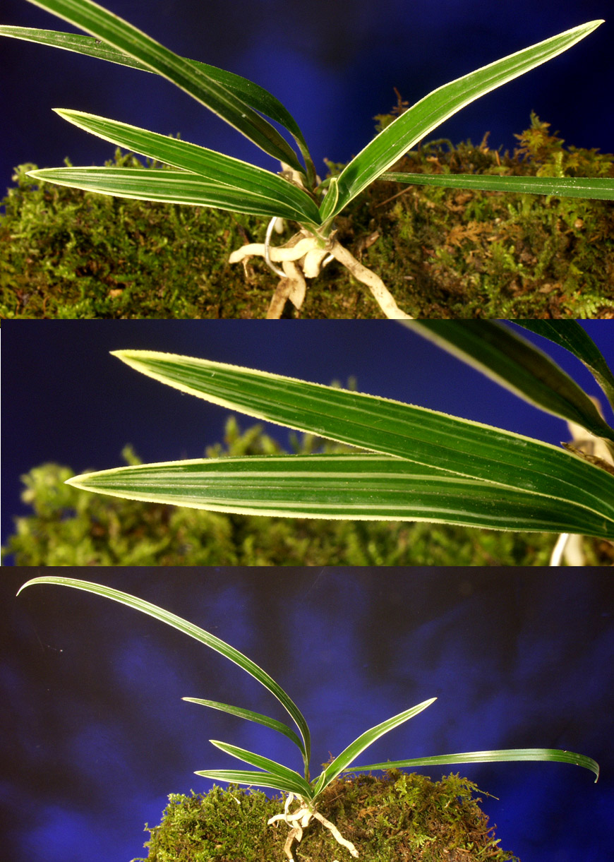 ������ ū������ �� �� �ֽ��ϴ�.