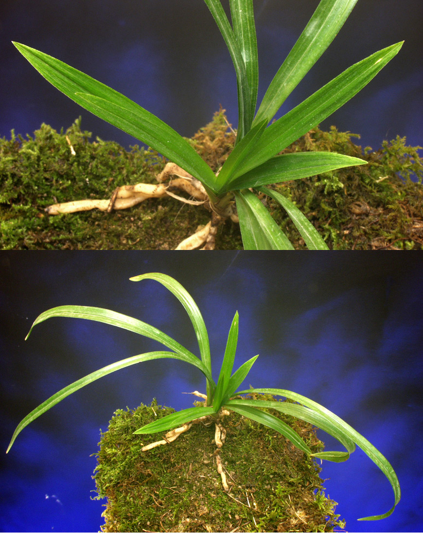 ������ ū������ �� �� �ֽ��ϴ�.