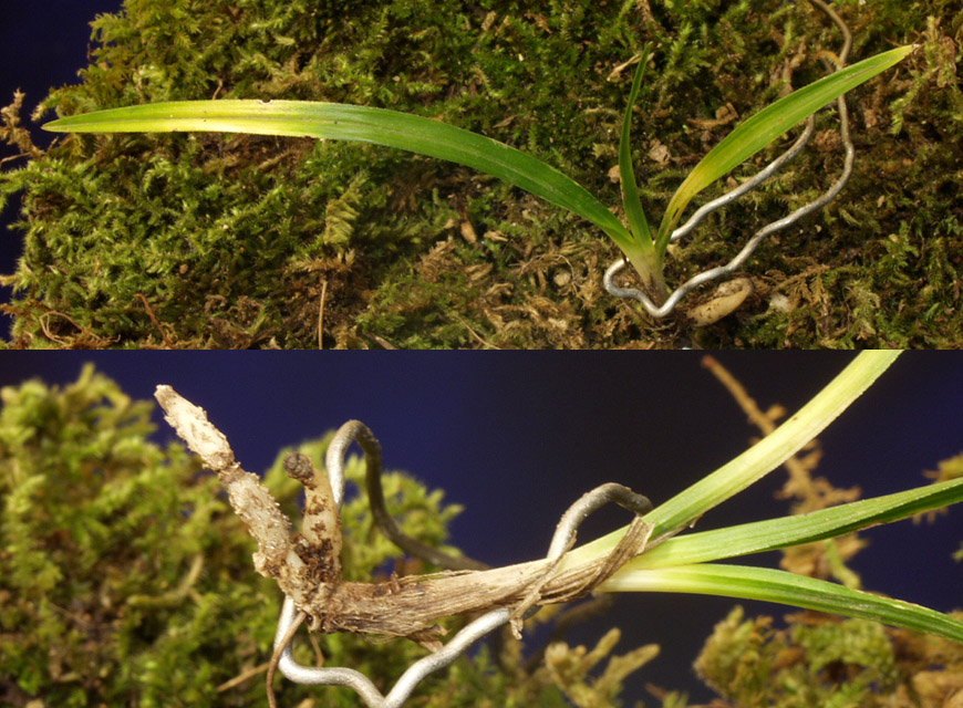 ������ ū������ �� �� �ֽ��ϴ�.