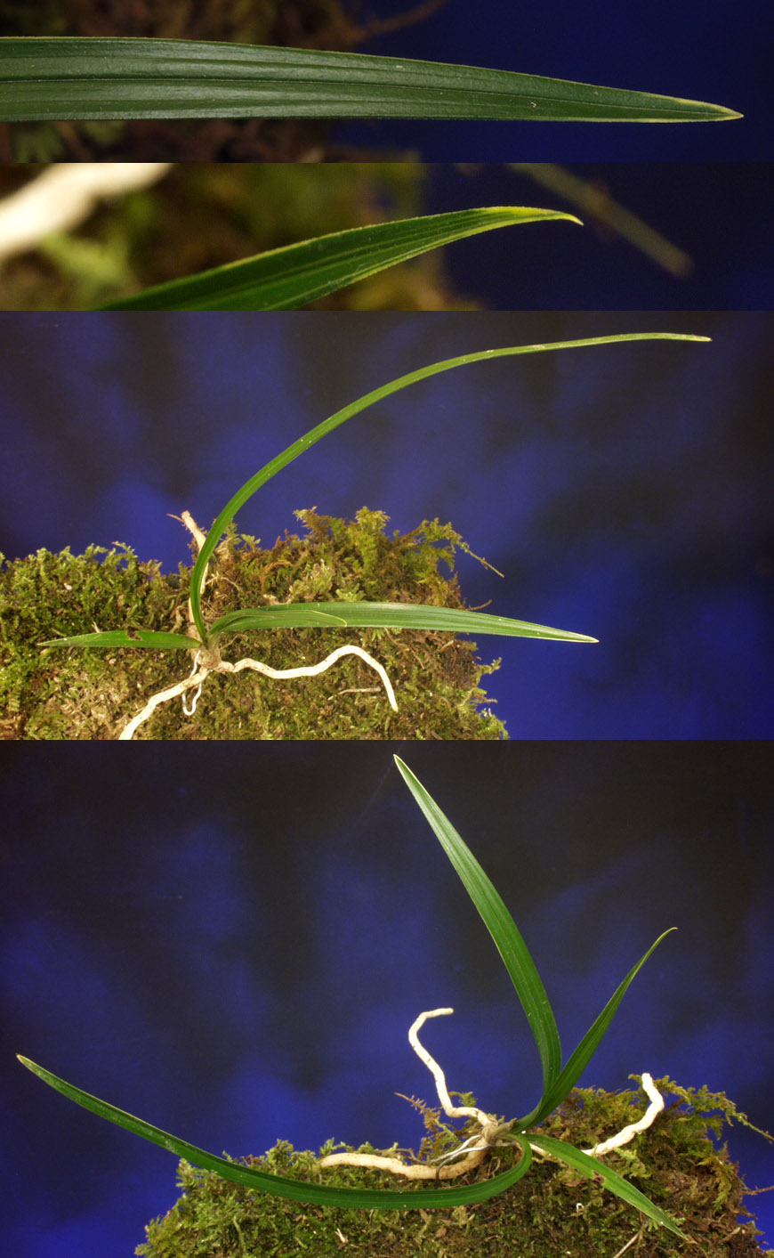 ������ ū������ �� �� �ֽ��ϴ�.