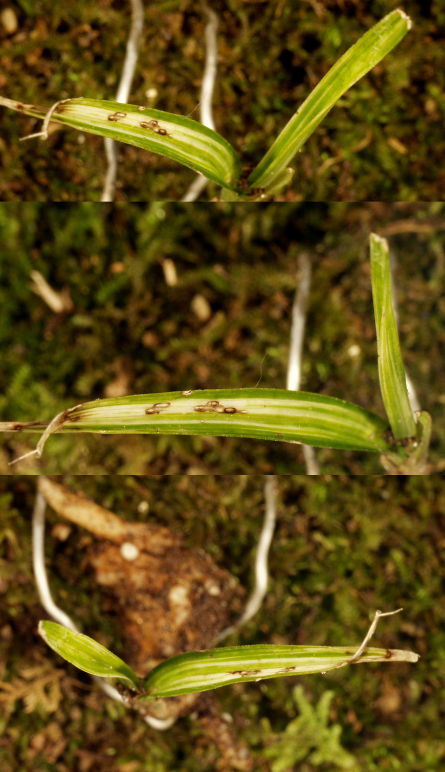 ������ ū������ �� �� �ֽ��ϴ�.