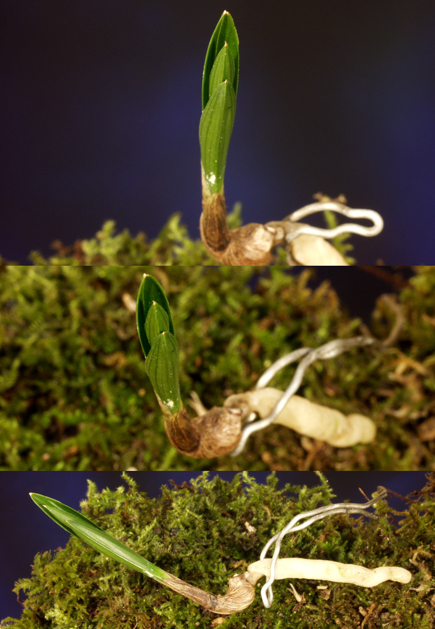 ������ ū������ �� �� �ֽ��ϴ�.